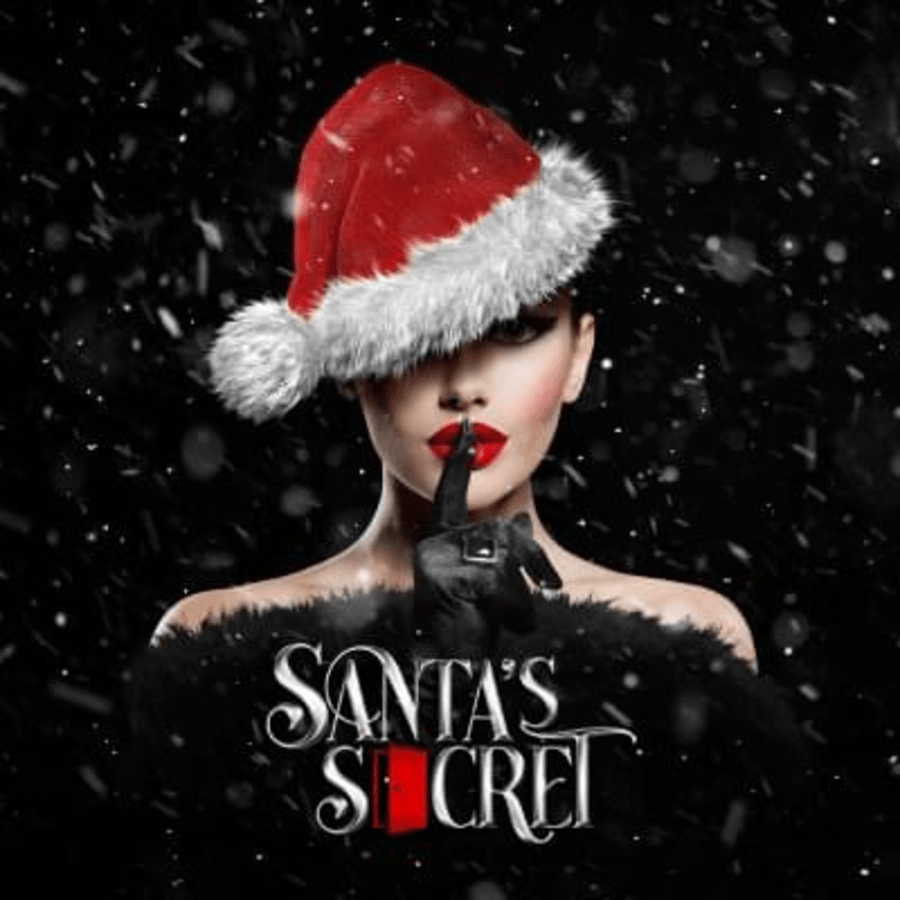 Santa Secret